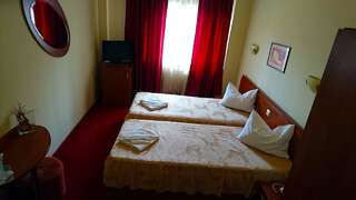 Отель Hotel Pui de Urs Бухарест Двухместный номер с 2 отдельными кроватями-1
