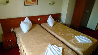 Отель Hotel Pui de Urs Бухарест Двухместный номер с 2 отдельными кроватями-6