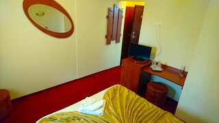 Отель Hotel Pui de Urs Бухарест Двухместный номер с 1 кроватью-3