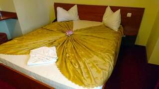 Отель Hotel Pui de Urs Бухарест Двухместный номер с 1 кроватью-4